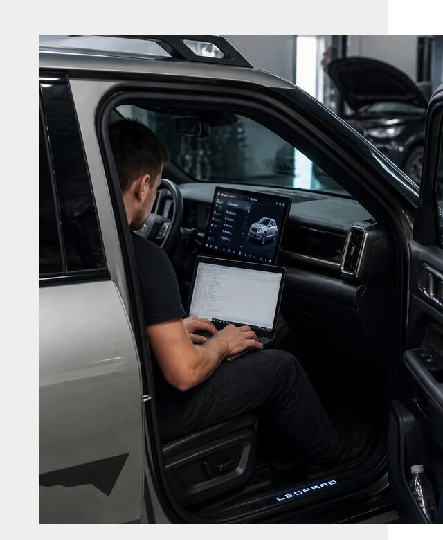Русификация BYD Leopard 3 в Челябинске по цене от 20521 р. | ФастМобиль-Члб